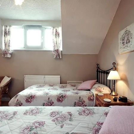 ザ ファージングス